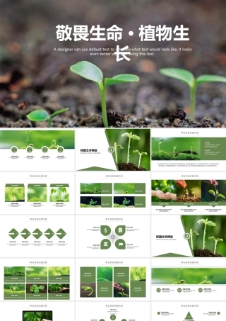 敬畏生命植物发芽PPT模板.pptx