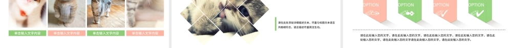 可爱萌宠猫咪宠物店动态ppt模板.pptx