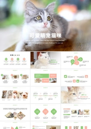 可爱萌宠猫咪宠物店动态ppt模板.pptx