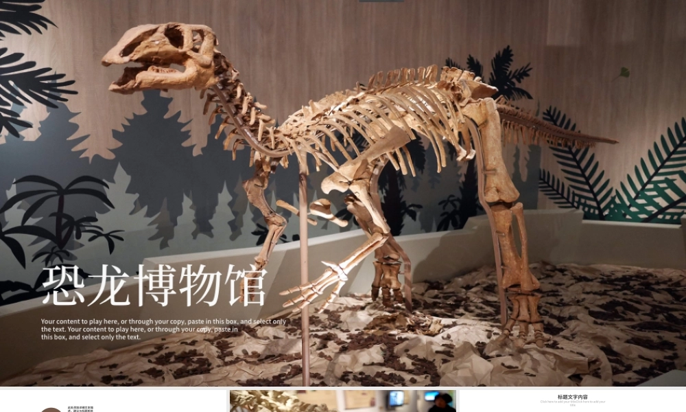 恐龙化石博物馆ppt动态模板.pptx