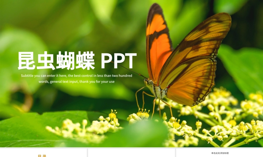 昆虫蝴蝶蜕变商务汇报总结计划PPT模板.pptx