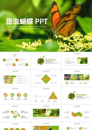 昆虫蝴蝶蜕变商务汇报总结计划PPT模板.pptx