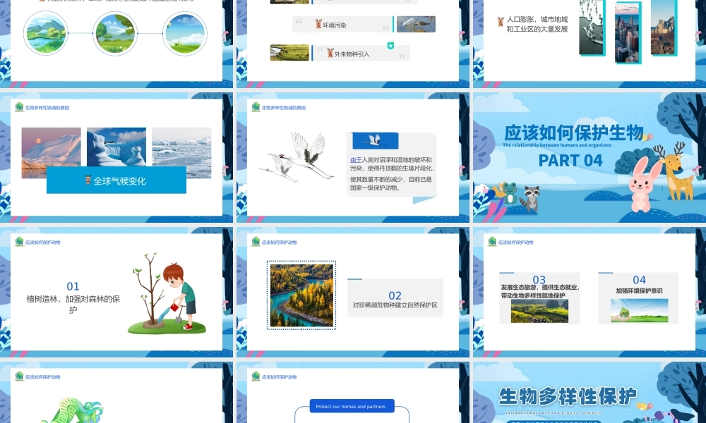蓝色国际生物多样日介绍生物多样性保护.pptx