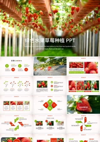 绿色水果草莓种植大棚草莓ppt模板.pptx