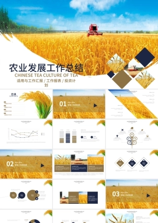 农产品农业发展工作总结PPT模板.pptx