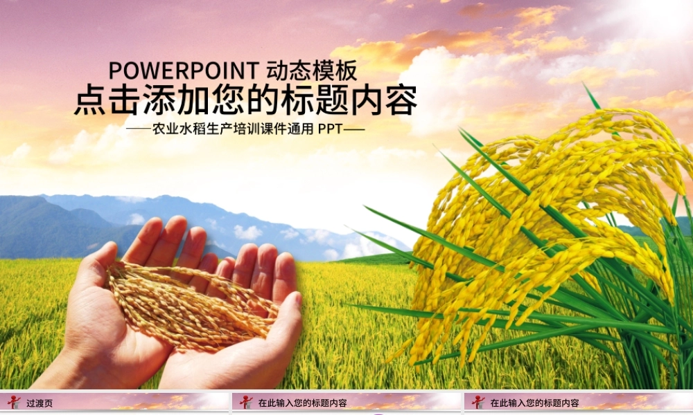 农业生产水稻播种新农村建设PPT.pptx