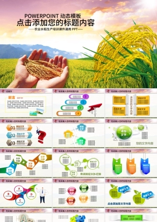 农业生产水稻播种新农村建设PPT.pptx