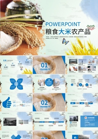 农业种植粮食大米农产品PPT模板.pptx