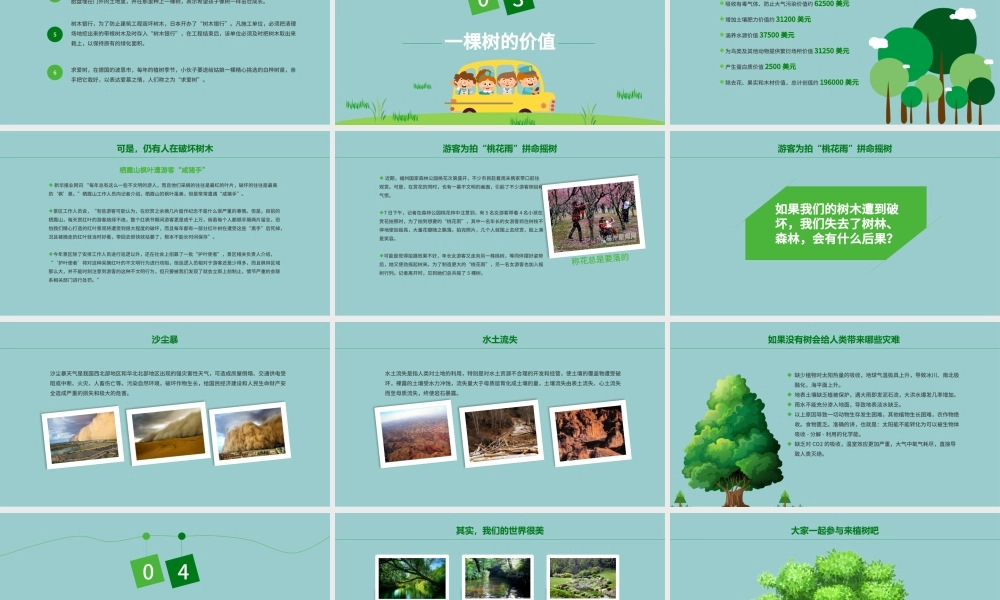 清新简约植树节主题班会PPT.pptx