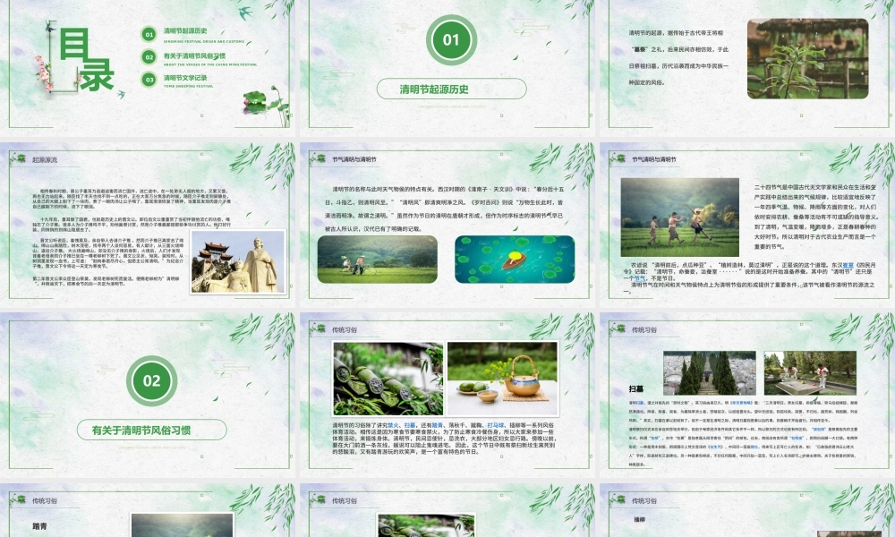 清秀简约清明节节日介绍PPT.pptx
