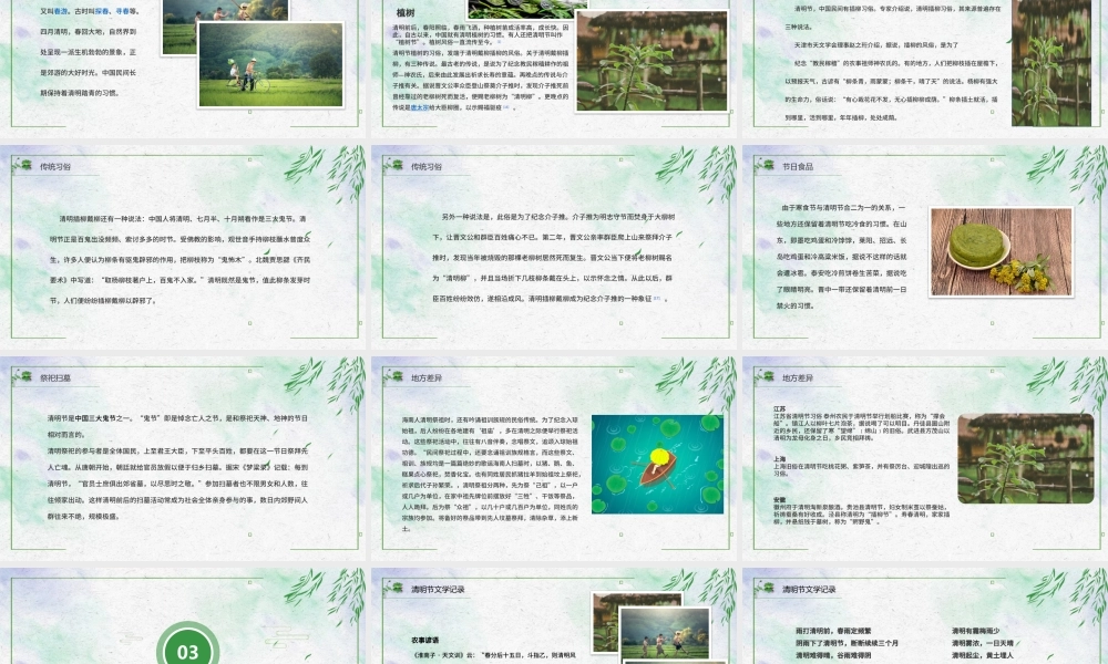 清秀简约清明节节日介绍PPT.pptx