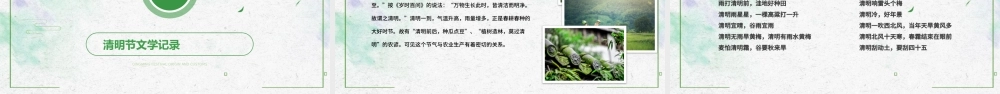 清秀简约清明节节日介绍PPT.pptx