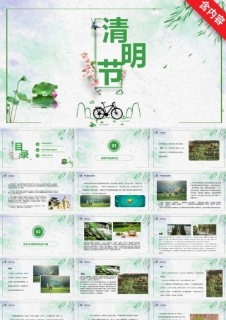 清秀简约清明节节日介绍PPT.pptx