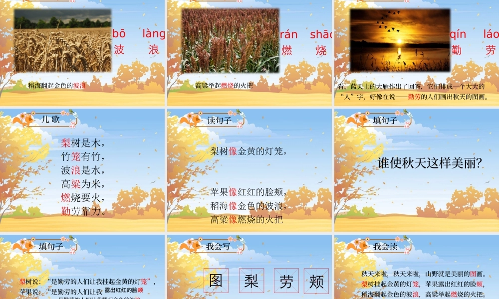 秋天的图画语文课件PPT模板.pptx