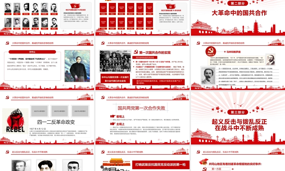 让党徽在奋斗中闪光最新党课1.pptx