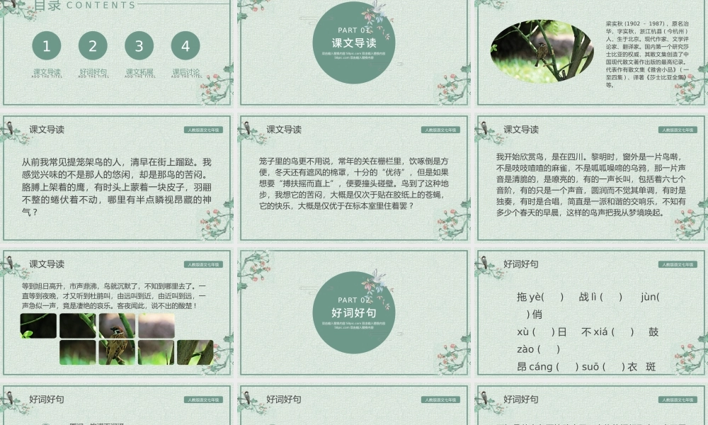 人教版初七年级语文鸟PPT课件.pptx