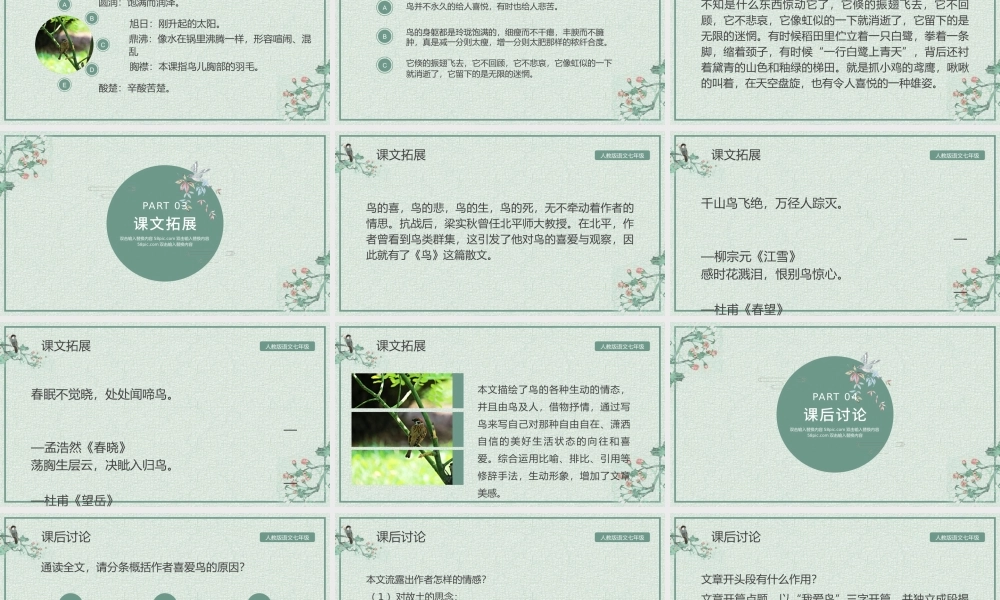 人教版初七年级语文鸟PPT课件.pptx