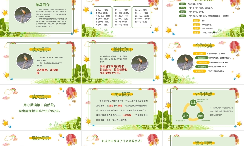 三年级语文翠鸟PPT课件（2）.pptx