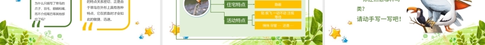 三年级语文翠鸟PPT课件（2）.pptx