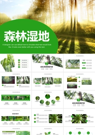森林湿地保护森林PPT模板.pptx