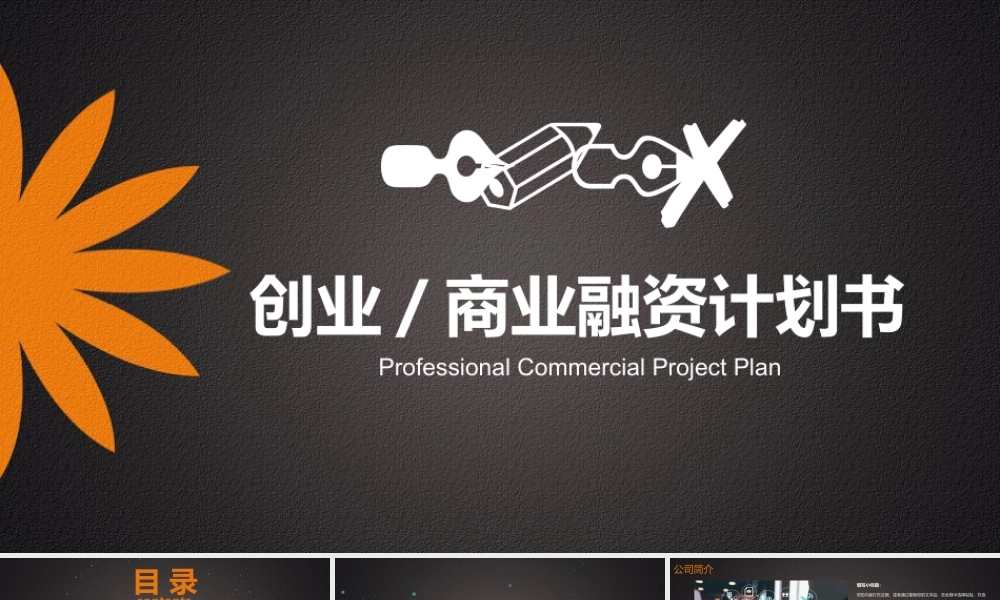 商业融资计划书.pptx