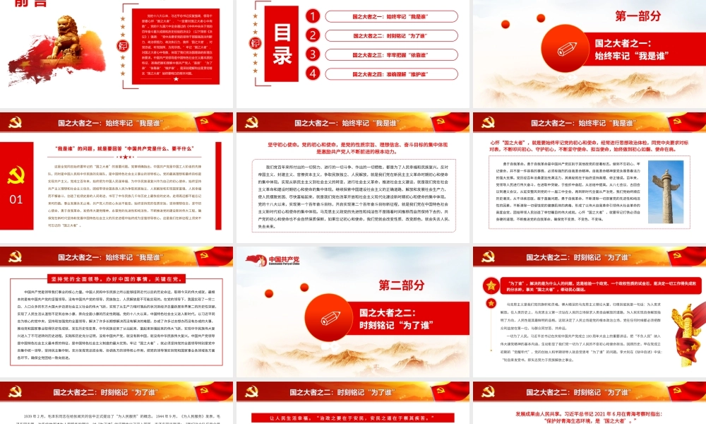 深刻把握和全面理解“国之大者”的丰富内涵.pptx