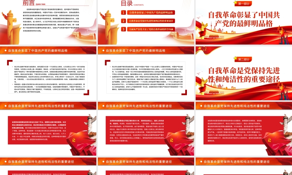 深入理解把握党的自我革命的科学内涵PPT红色党政风党员干部学习教育专题党课课件模板.pptx
