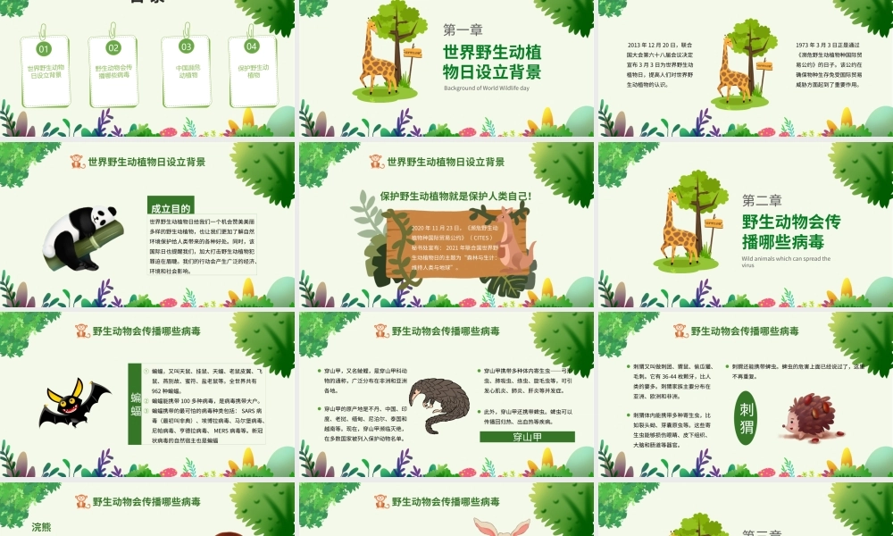 世界森林日PPT绿色卡通风关爱生命保护野生动物节日介绍通用模板.pptx