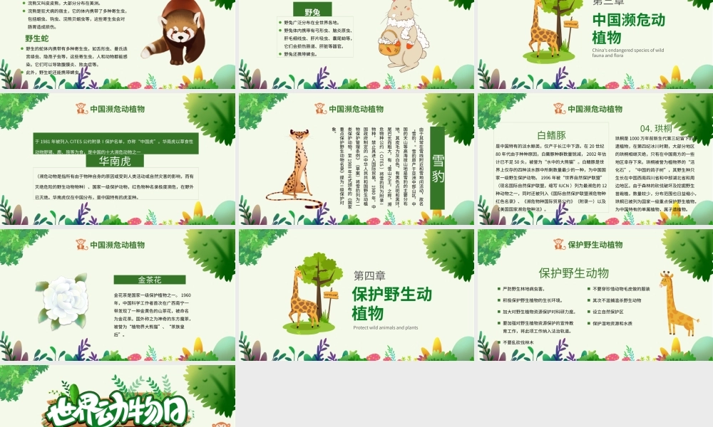 世界森林日PPT绿色卡通风关爱生命保护野生动物节日介绍通用模板.pptx