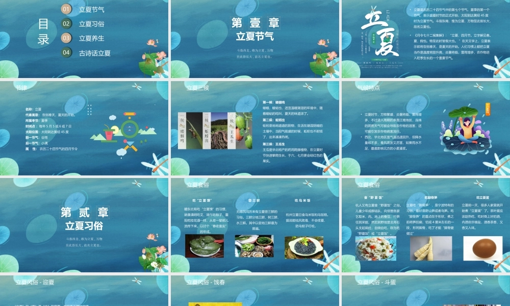 素雅国风卡通立夏节气介绍PPT宣传课件.pptx