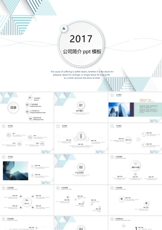 微粒体公司简介.pptx