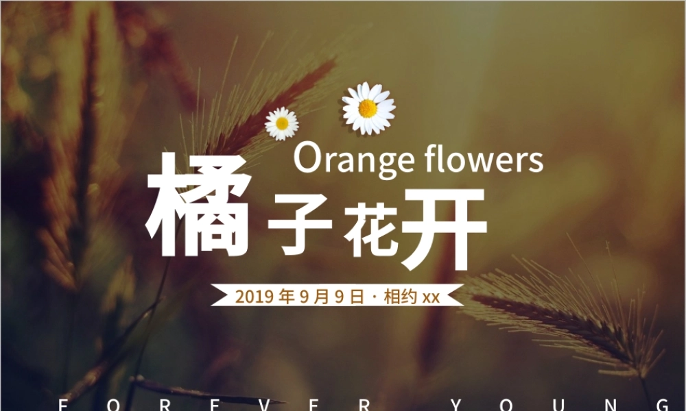 唯美同学聚会毕业纪念相册ppt.pptx