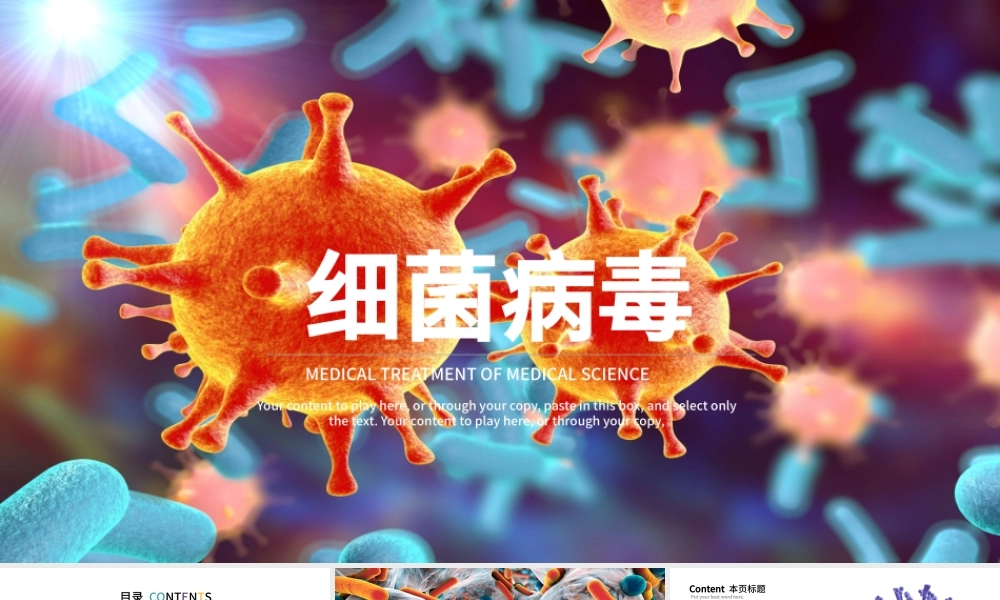 细菌病毒微生物ppt.pptx