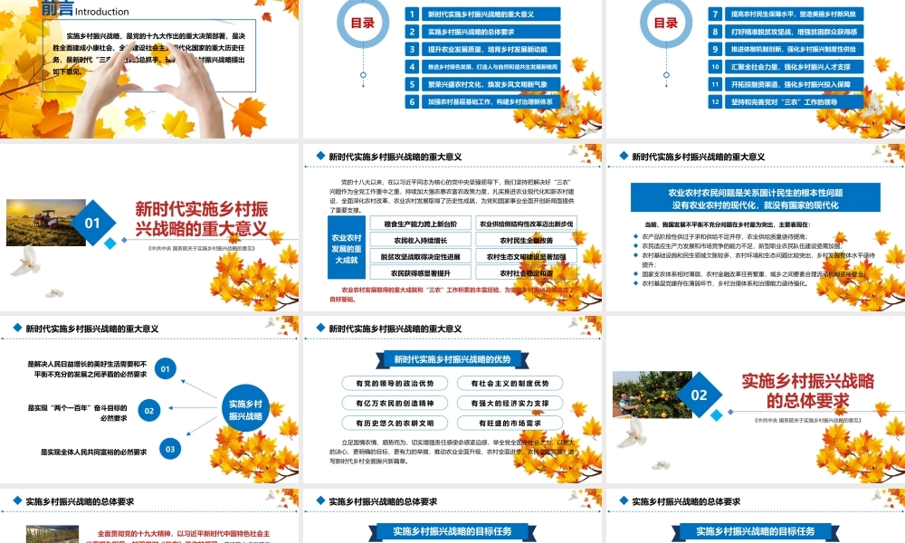 乡村振兴这么干 动画.pptx
