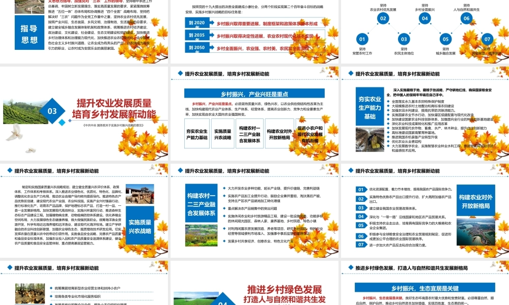 乡村振兴这么干 动画.pptx