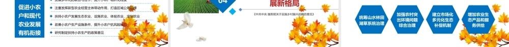 乡村振兴这么干 动画.pptx