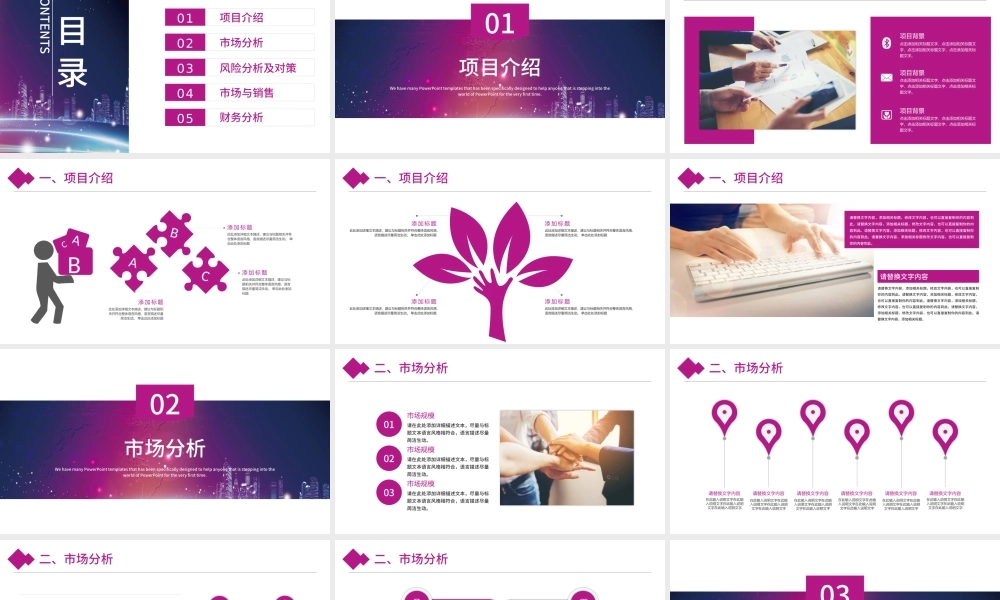 项目策划商业计划书PPT模板.pptx