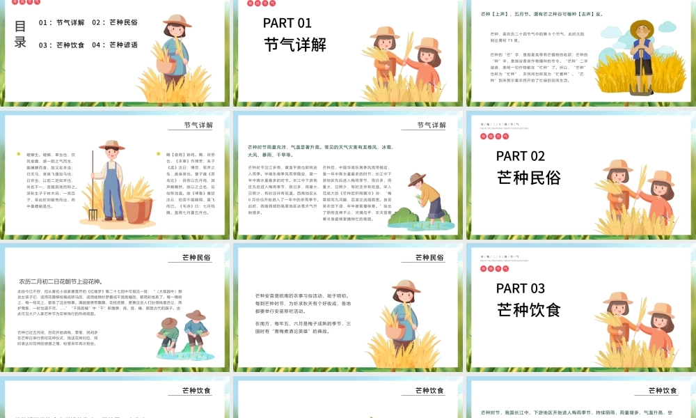 小清新中国传统节气芒种节PPT课件.pptx