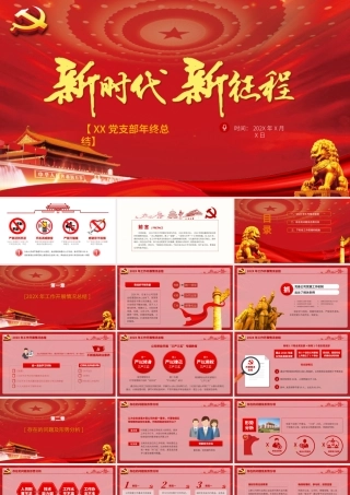 新时代新征程党支部年终总结通用模板.pptx
