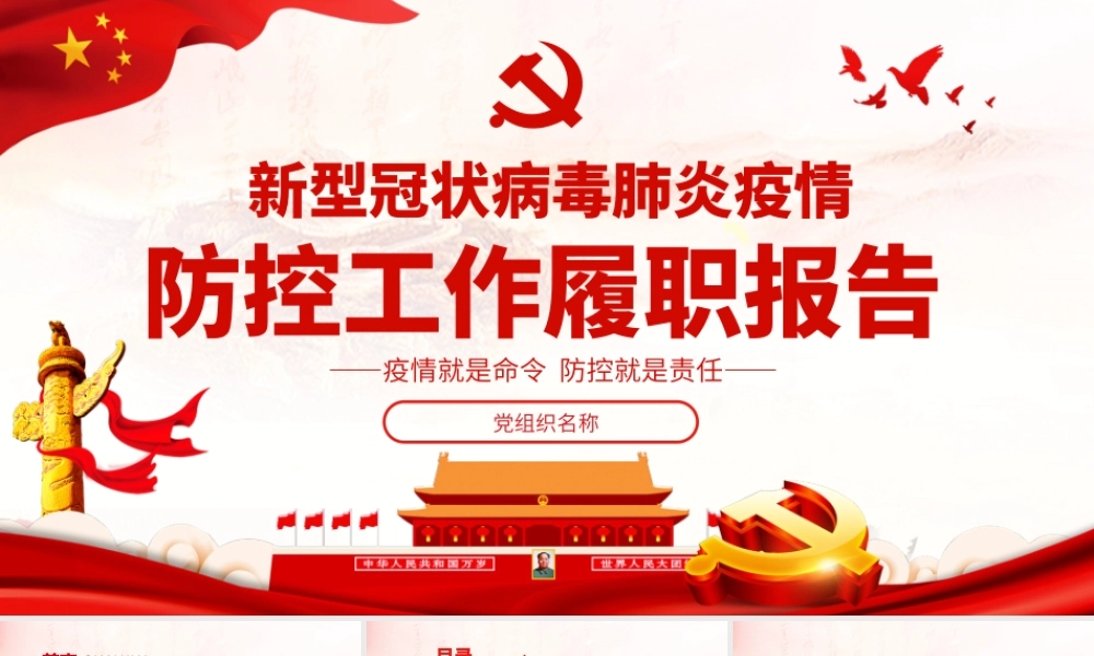 新型冠状病毒肺炎疫情防控工作履职报告.pptx