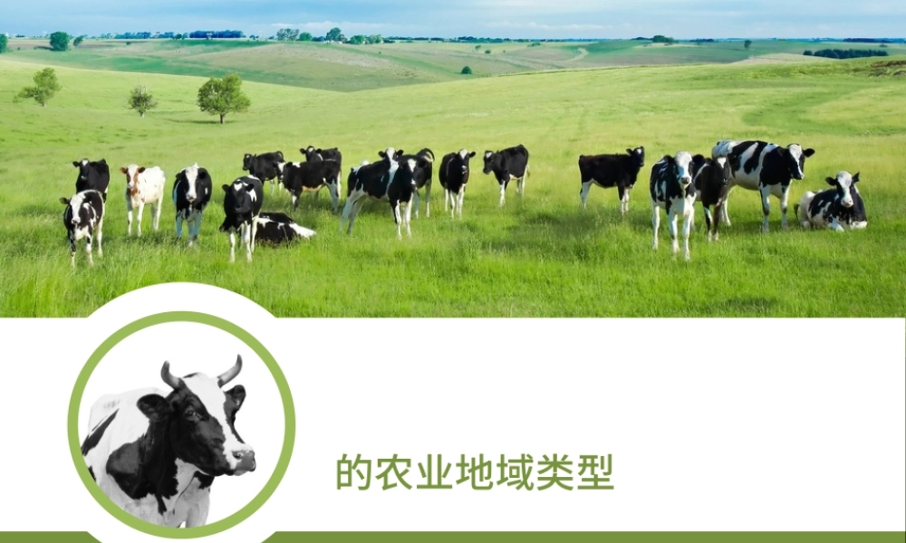 以畜牧业为主的农业地域类型ppt地理课件.pptx