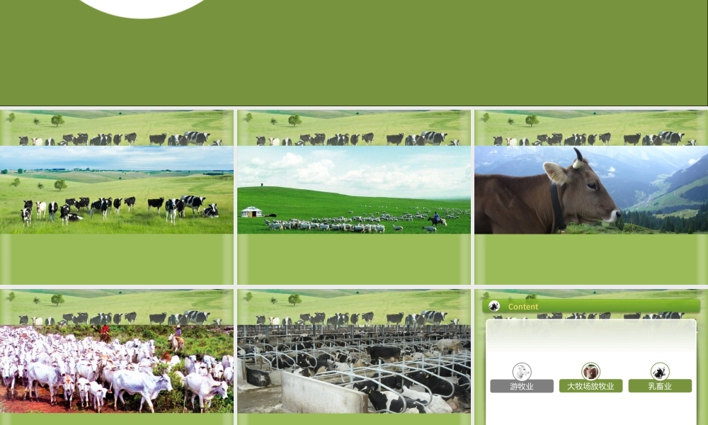 以畜牧业为主的农业地域类型ppt地理课件.pptx