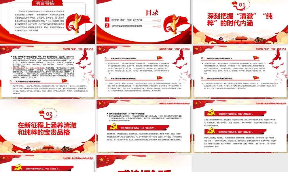 永葆年轻干部应有的清澈和纯粹PPT党政风党员干部学习教育专题党课.pptx