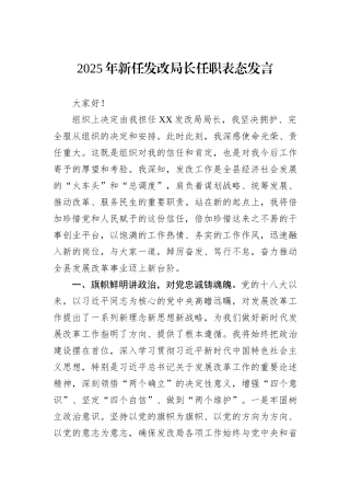 2025年新任发改局长任职表态发言.docx