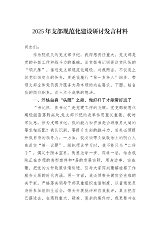 2025年支部规范化建设研讨发言材料.docx
