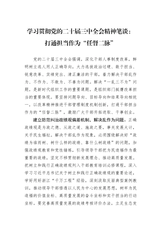学习贯彻党的二十届三中全会精神笔谈：打通担当作为“任督二脉”.docx