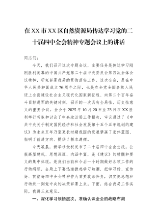 在XX市XX区自然资源局传达学习党的二十届四中全会精神专题会议上的讲话.docx