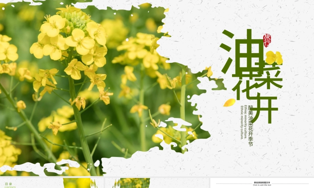 原创春天乡村旅游油菜花风景油菜花田PPT模板.pptx