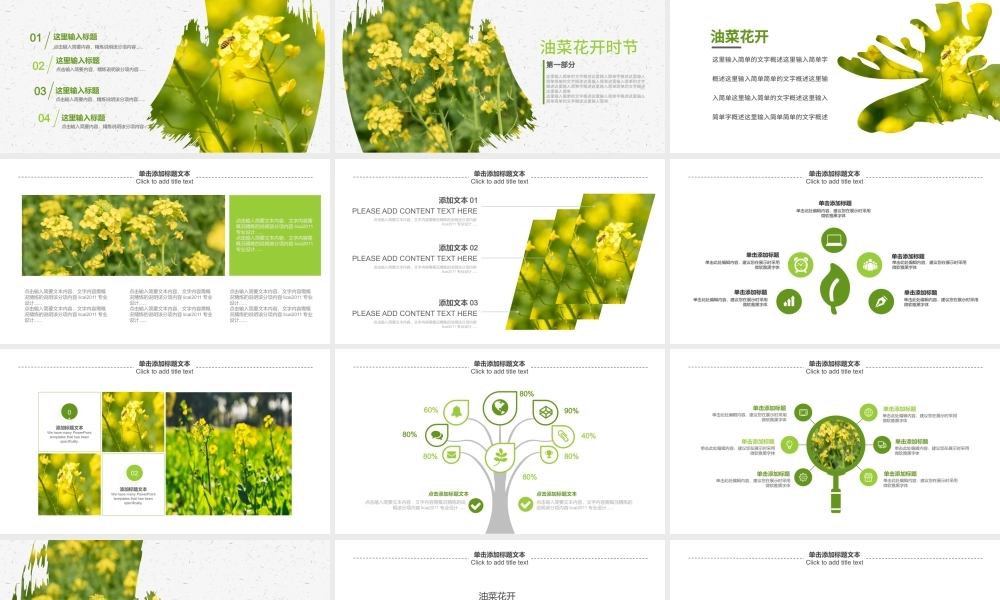 原创春天乡村旅游油菜花风景油菜花田PPT模板.pptx