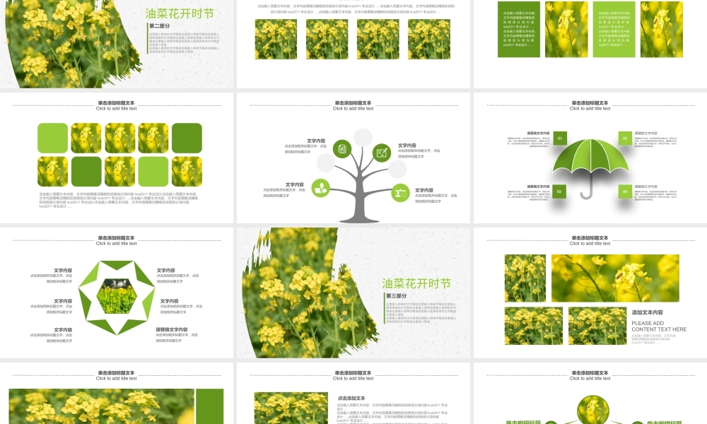 原创春天乡村旅游油菜花风景油菜花田PPT模板.pptx